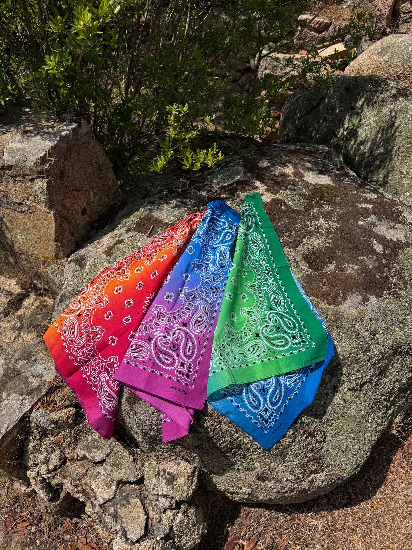 Bandana